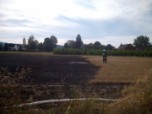 Poar cierniska w Moszczance